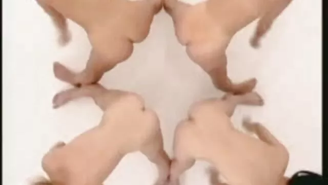 Sexe pas d'inscription  Fille et bisexuelle video gratuite hentai copine Merde elle dans la cul
