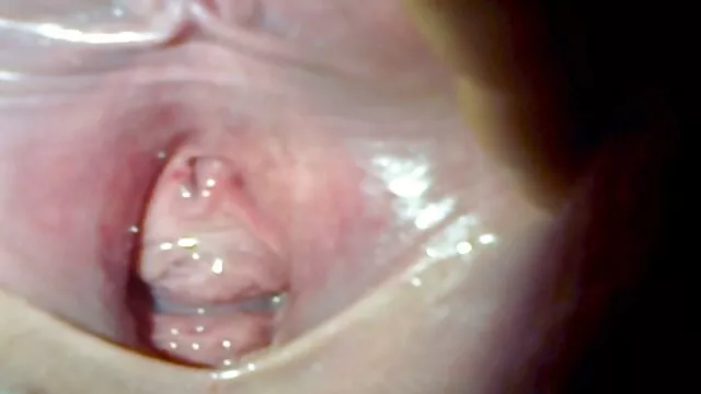Sexe pas d'inscription  Negar voir video de sexe ne se lève pas avec le cul blanc à la fête